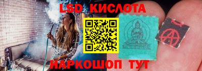 молекула духа Берёзовский