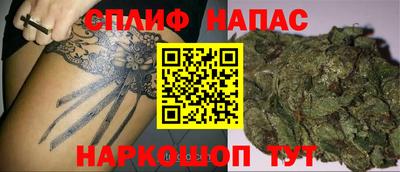 молекула духа Берёзовский