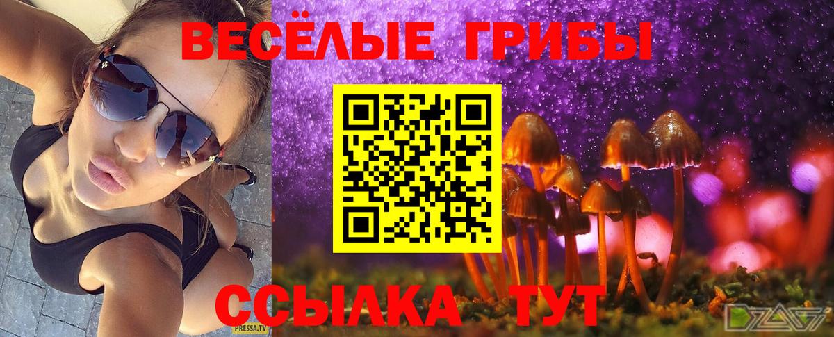 Галлюциногенные грибы мицелий  Вход с VPN  Зеленокумск 